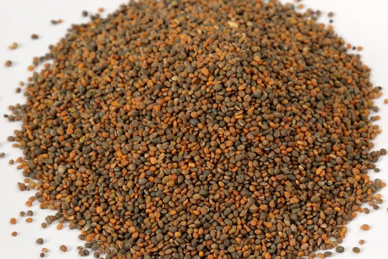 Croquet Seeds