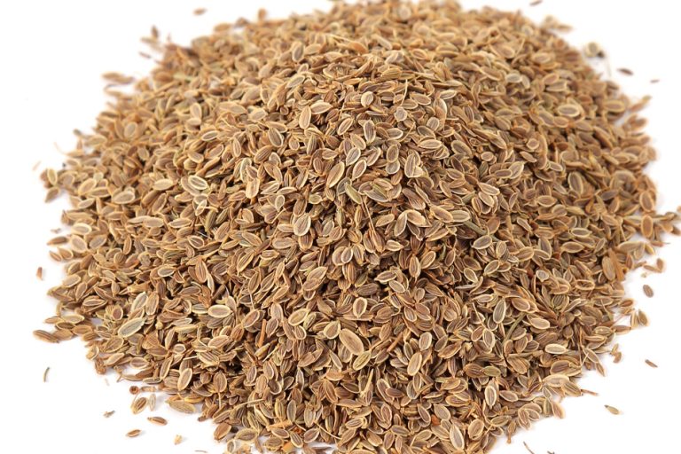 Dill Seeds