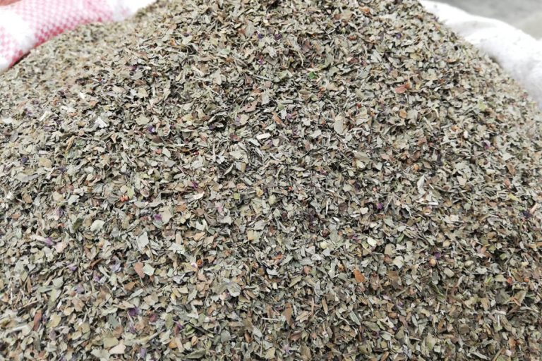 Dried Basil