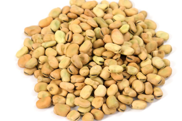 Dried Broad Beans