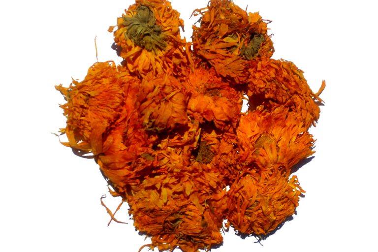 Dried Calendula