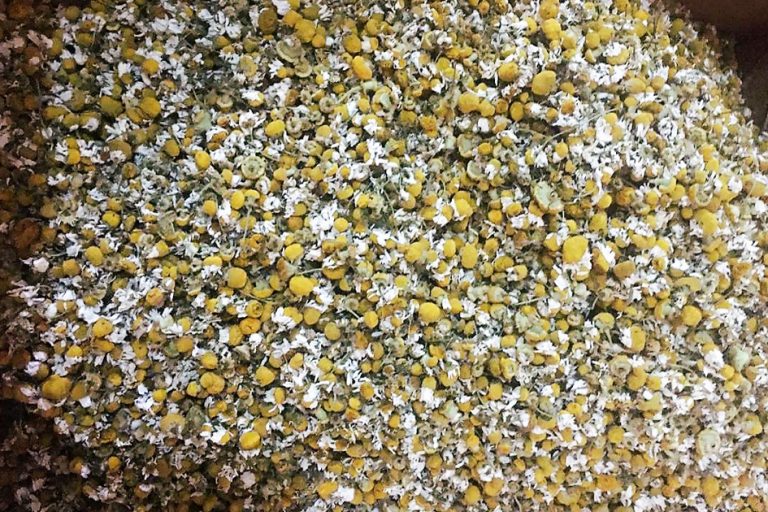 Dried Chamomile