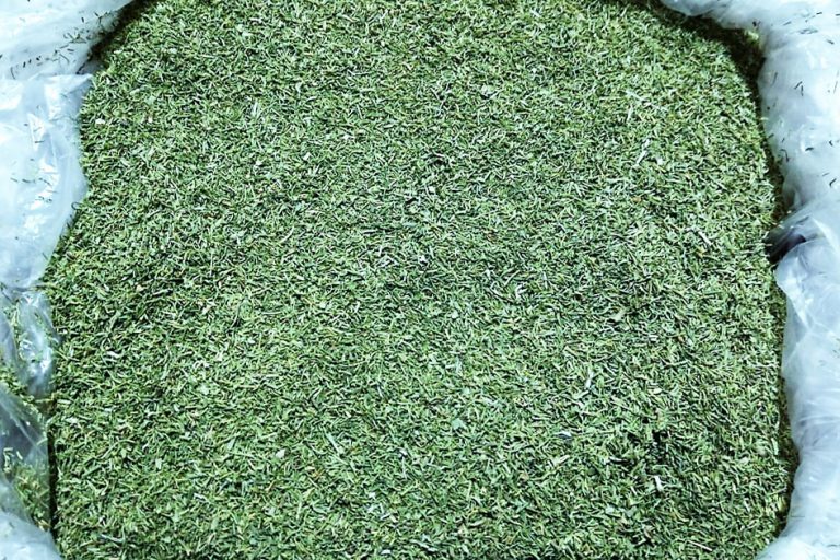 Dried Dill Leaves