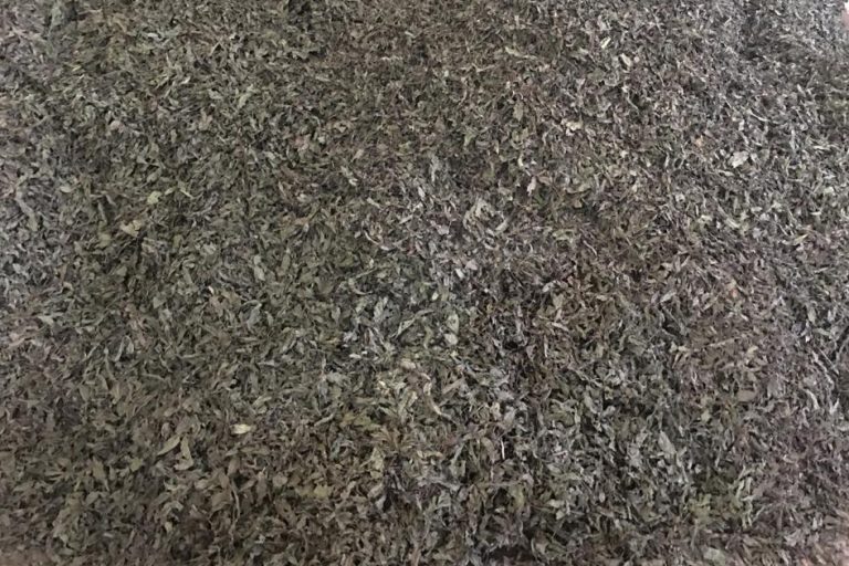 Dried Mentha Longifolia