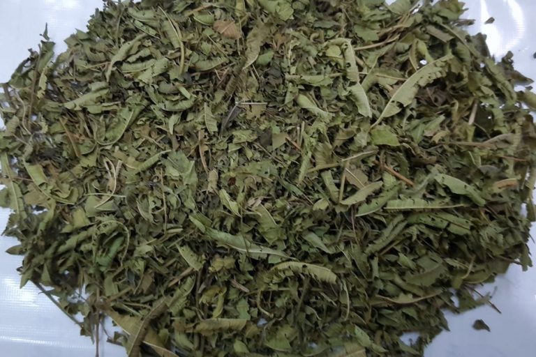 Dried Moringa Whole Leaves