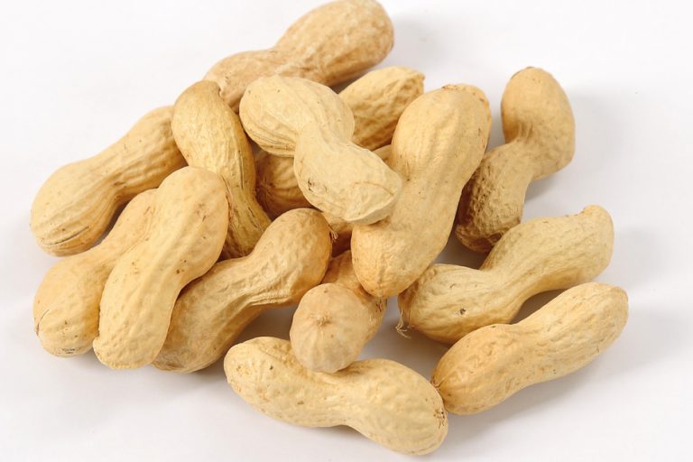 Dried Peanut