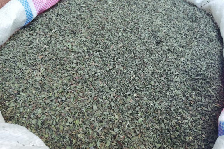 Dried Spearmint