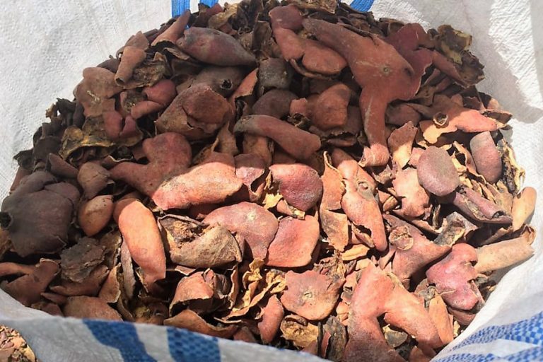 Dried Pomegranate Peel