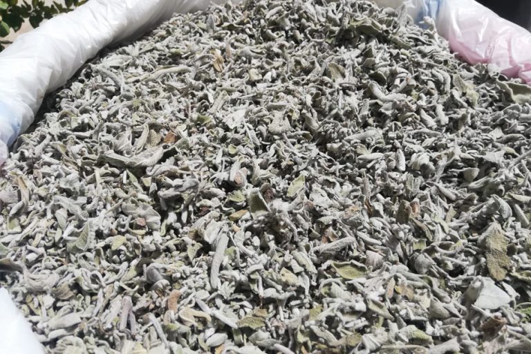 Dried Sage