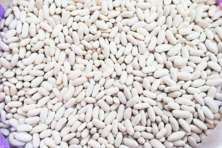 Dried White Kidney Beans