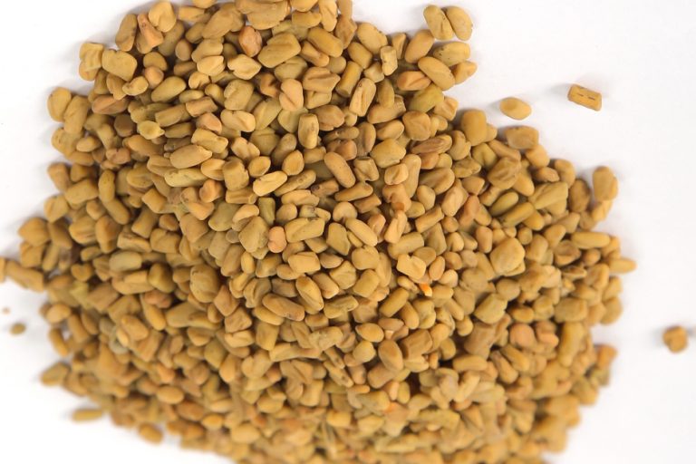 Fenugreek Seeds