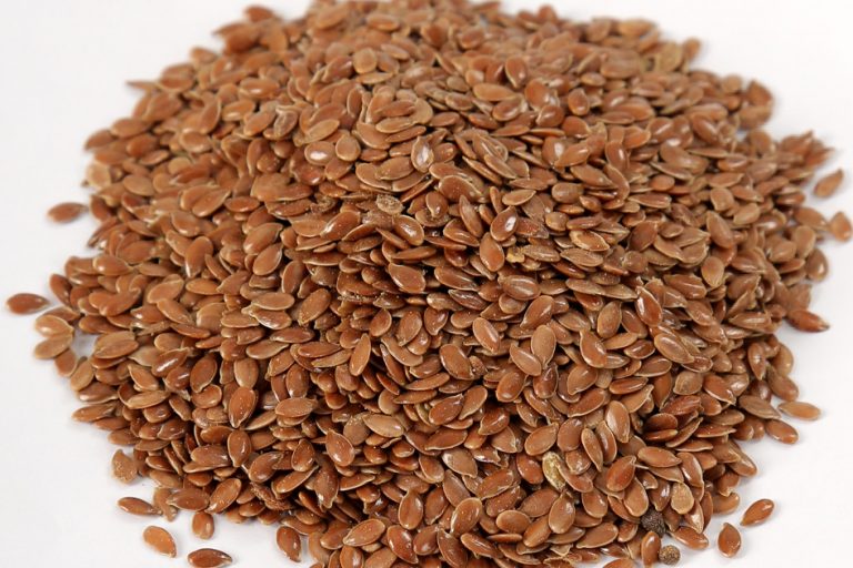 Flax Seeds