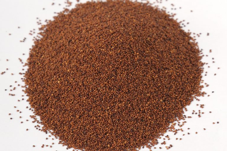 Marjoram Seeds