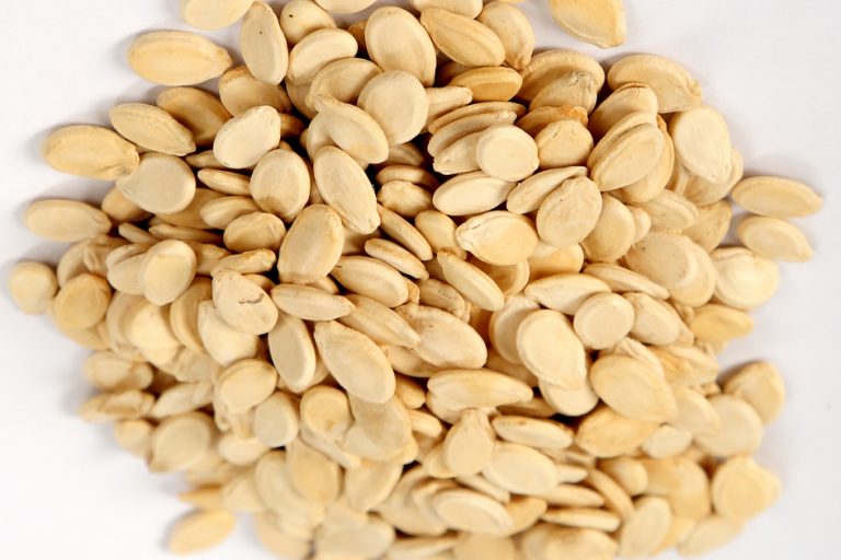 Melon Seeds