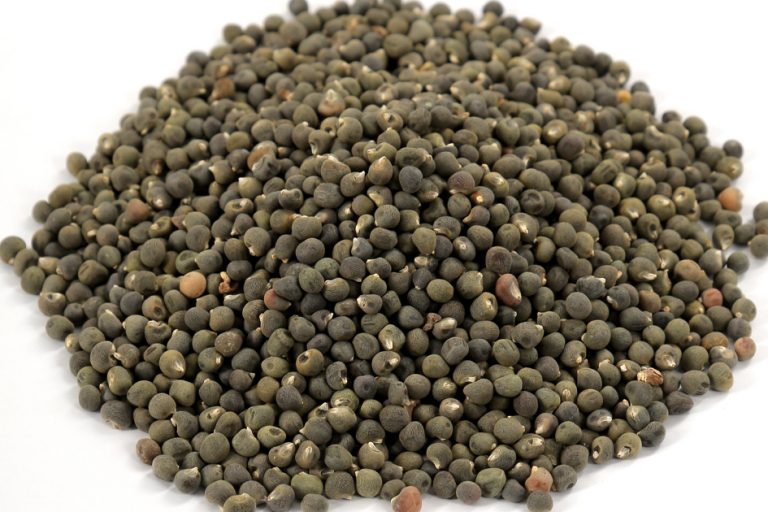 Okra Seeds
