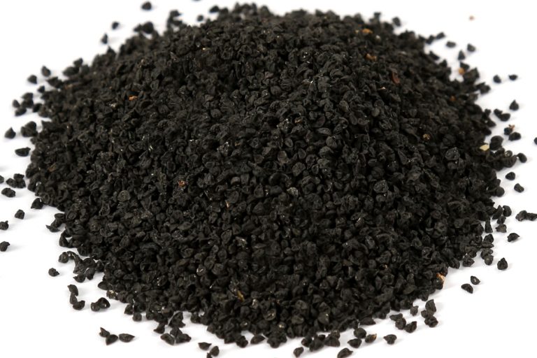 Onion Seeds