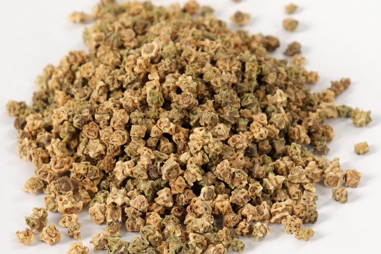 Perpetual Spinach Seeds