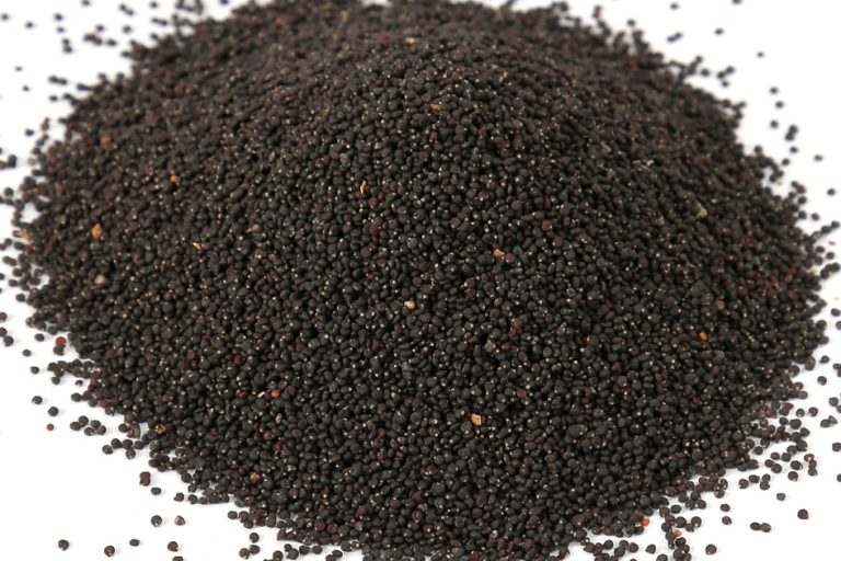 Portulaca Aleracea Seeds