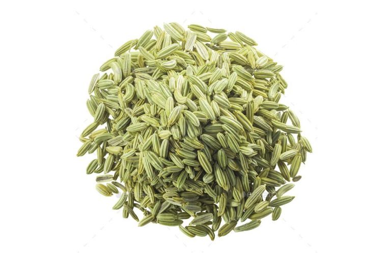 Fennel Seeds