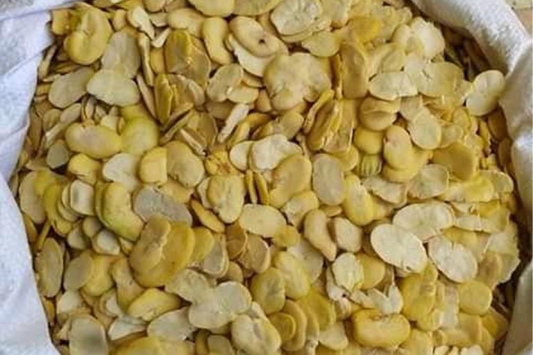 Dried Split Broad Beans